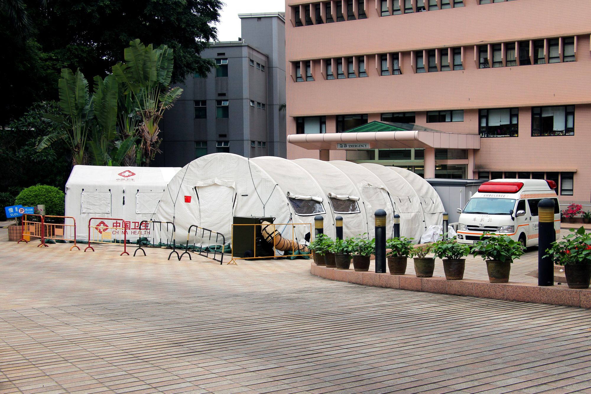 Papers, Please: Drawing Parallels Between Coronavirus and Immigration
