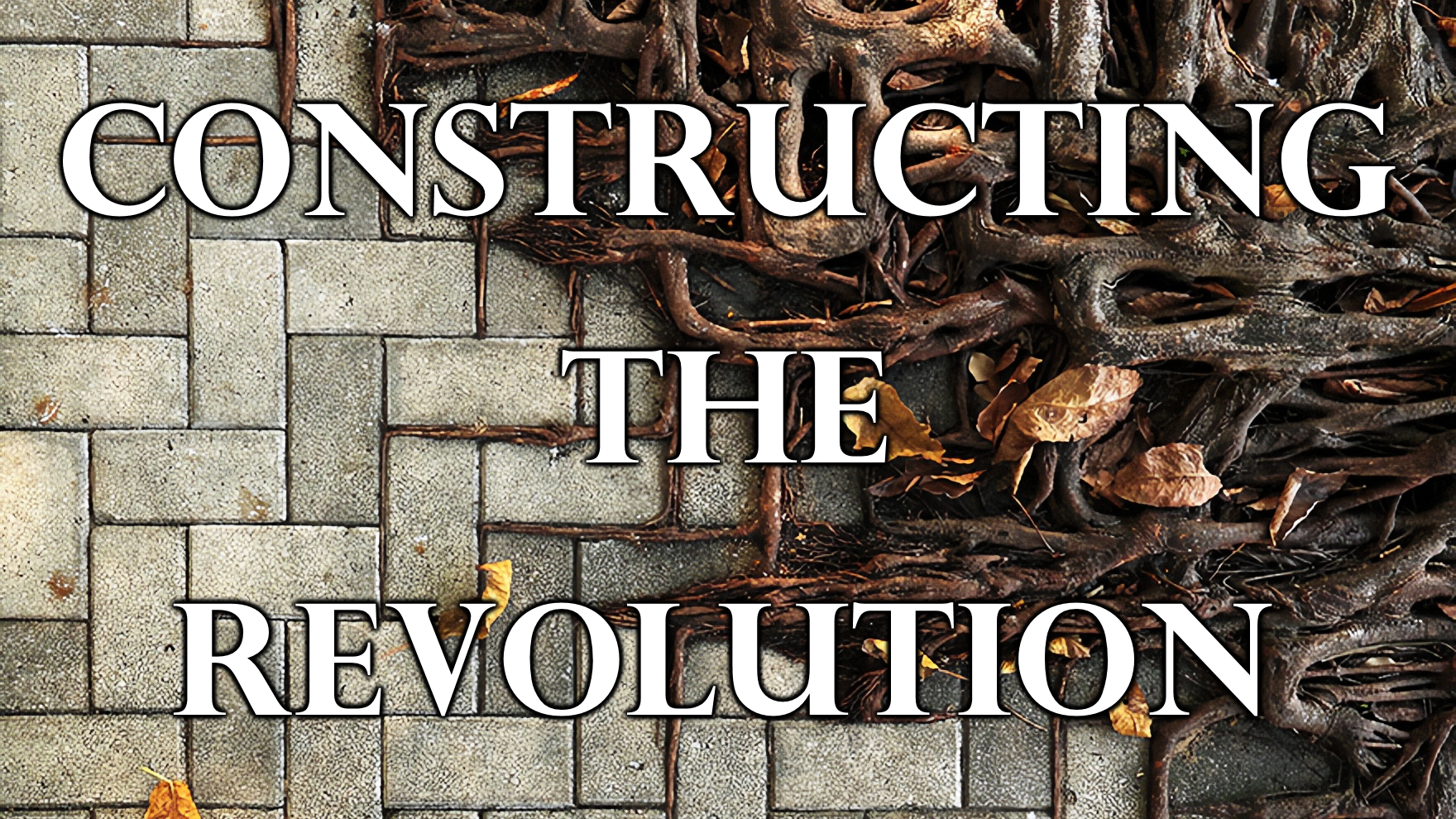 Constructing the Revolution