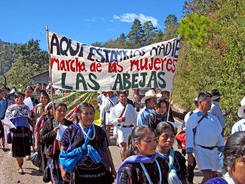 Zapatista Autonomy and Stateless Participatory Democracy - Part Two